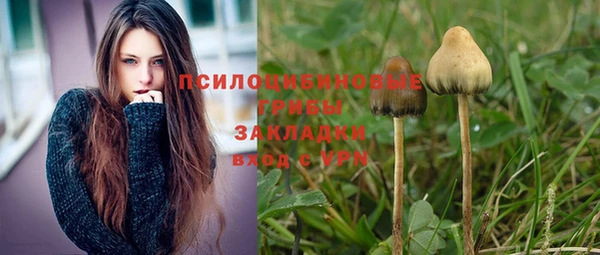 дмт Володарск