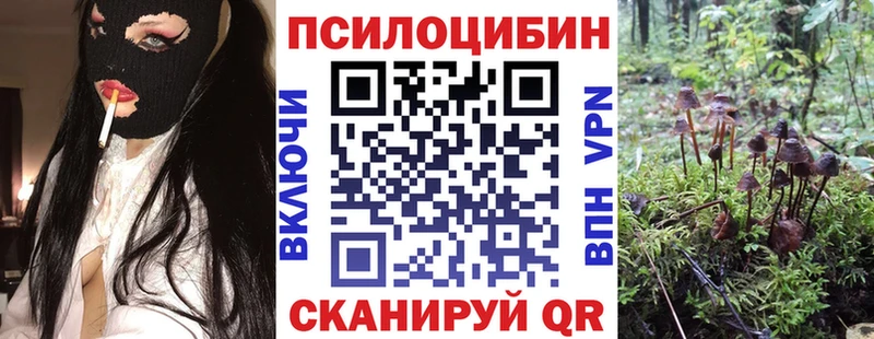Псилоцибиновые грибы прущие грибы Гаджиево